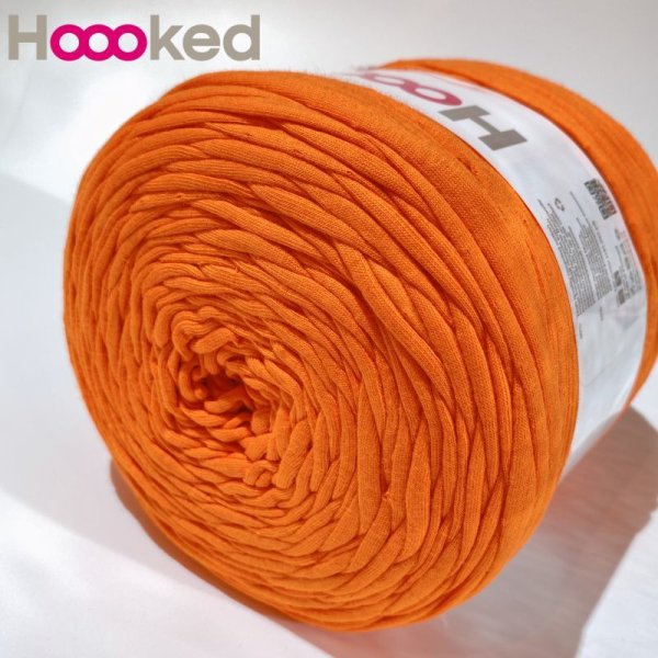 Photo1: 【Zpagetti】ORANGE  (1)